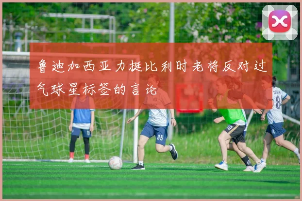 鲁迪加西亚力挺比利时老将反对过气球星标签的言论