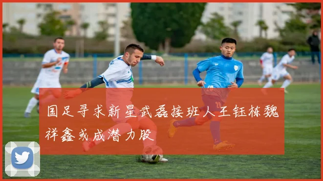 国足寻求新星武磊接班人王钰栋魏祥鑫或成潜力股
