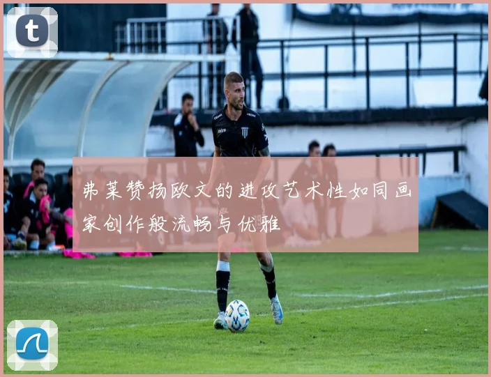 弗莱赞扬欧文的进攻艺术性如同画家创作般流畅与优雅