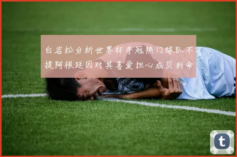 白岩松分析世界杯夺冠热门球队不提阿根廷因对其喜爱担心成贝利命运